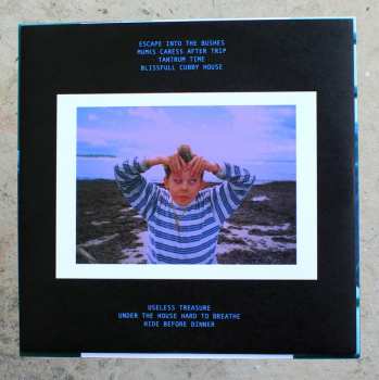 LP F Ingers:  Hide Before Dinner 