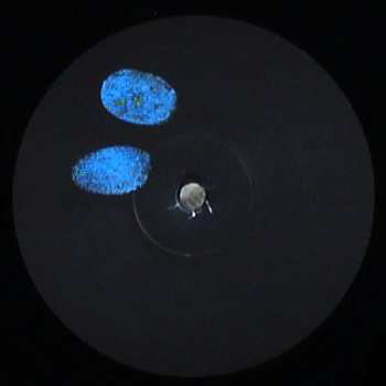 LP F Ingers:  Hide Before Dinner 