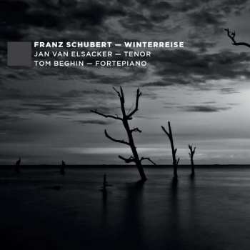 CD F. Schubert: Winterreise D.911