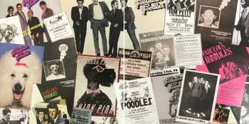 3CD Fabulous Poodles: Mirror Stars - The Complete Pye Recordings 1976 - 1980