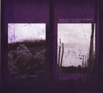 CD Fading Bliss: Journeys In Solitude DIGI
