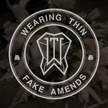 Album Wearing Thin: Fake Amends