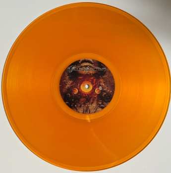 LP Fallen Sanctuary: Terranova LTD | CLR