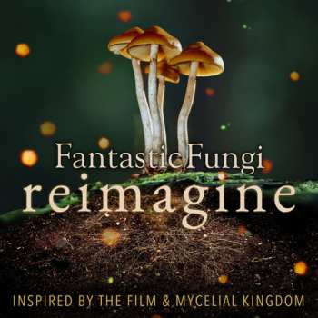 Album Fantastic Fungi: Reimagine / Various: Fantastic Fungi: Reimagine