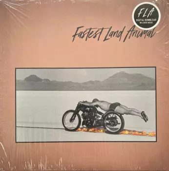 Fastest Land Animal