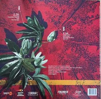 LP Faygo: Blooming Part One