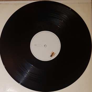 2LP Feeder: All Bright Electric LTD | CLR