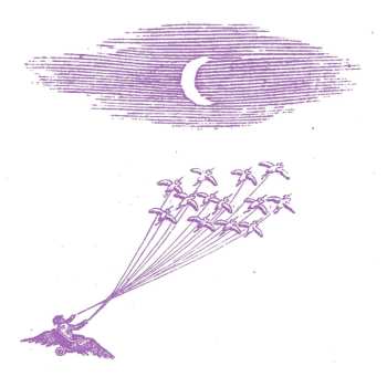 Album Feeling Figures: Migration Magic