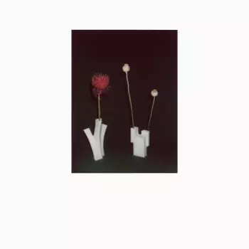 Félicia Atkinson: The Flower And The Vessel