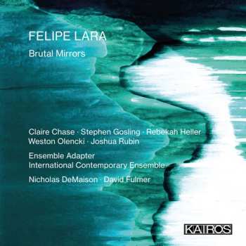 Album Felipe Lara: Brutal Mirrors / Various: Felipe Lara: Brutal Mirrors