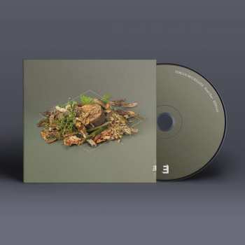 CD Fergus McCreadie: Forest Floor