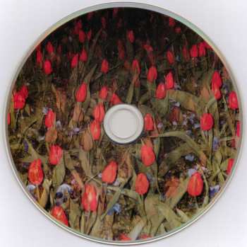 CD Film School: Film School