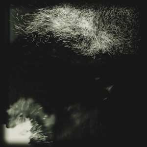 Album Fink: Fall Into The Light / Pilgrim