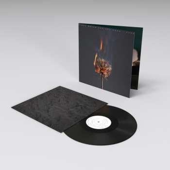 LP Fiona Brice: And You Know I Care