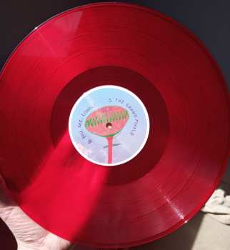 LP FIZZ: The Secret To Life - Live At Middle Farm Studios