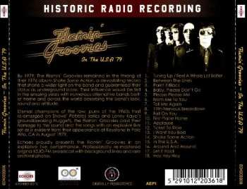 CD The Flamin' Groovies: In The U.S.A '79