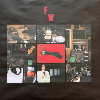 LP Flat Worms: Witness Marks