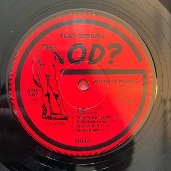 LP Flat Worms: Witness Marks