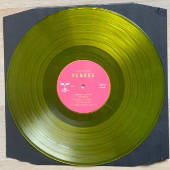 LP Flatwaves: Numbra CLR | LTD