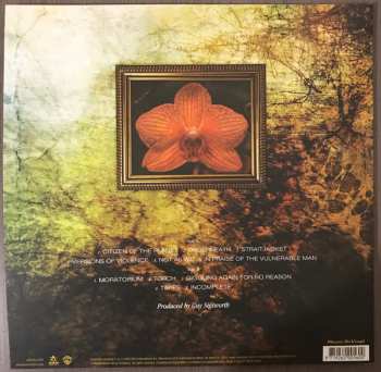 LP Alanis Morissette: Flavors Of Entanglement