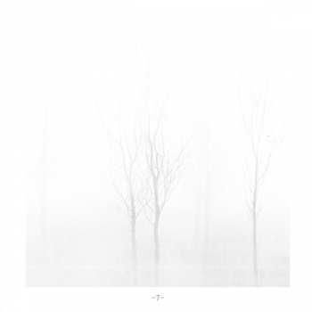 CD Fleetwood Mac: Bare Trees