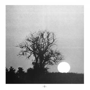 CD Fleetwood Mac: Bare Trees