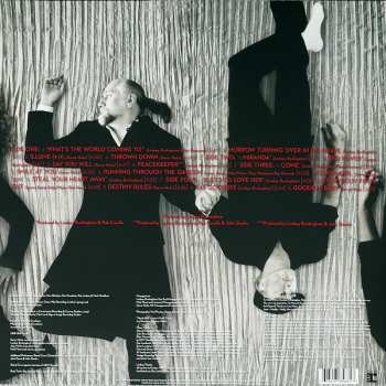 2LP Fleetwood Mac: Say You Will