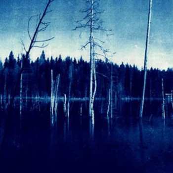 Album Fleshpress: Rebuild / Crumble