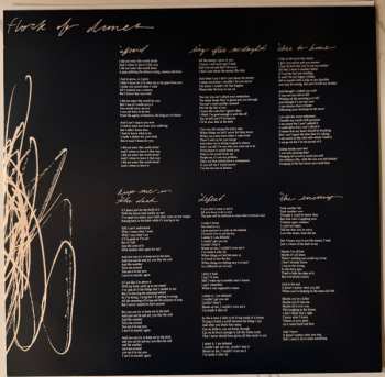 2LP Flock Of Dimes: The Life You Save CLR | LTD