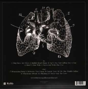 LP Florence And The Machine: Lungs