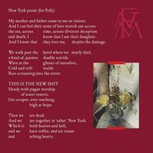 SP Florence And The Machine: Sky Full Of Song LTD | CLR