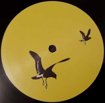 2LP Flotation Toy Warning: Bluffer's Guide To The Flight Deck  LTD