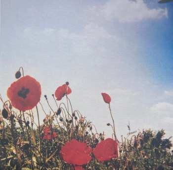 LP Fluisteraars: Bloem