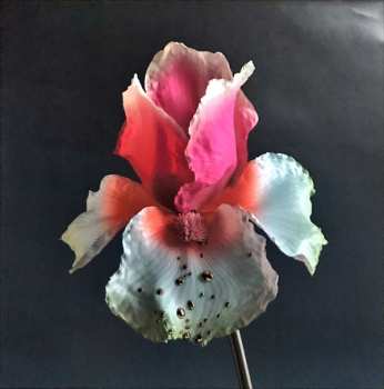 2LP Flume: Skin CLR | LTD