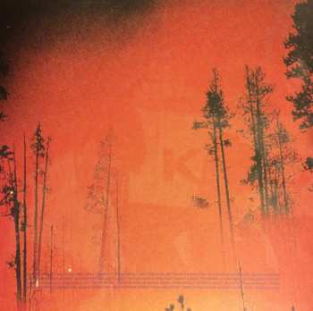 LP Flying Saucer Attack: Goodbye / And Goodbye / The Whole Day CLR