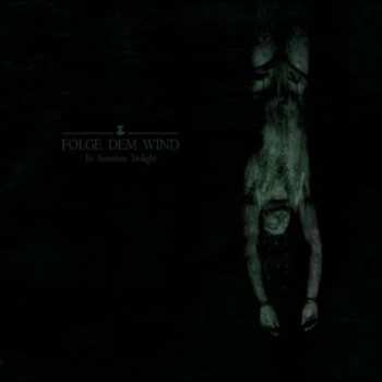 Album Folge Dem Wind: To Summon Twilight