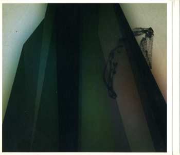 CD Food: Molecular Gastronomy