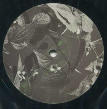 2LP Forest Swords: Compassion