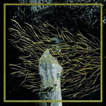 CD Forest Swords: Engravings