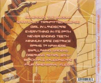 CD Afterbirth: Four Dimensional Flesh DIGI