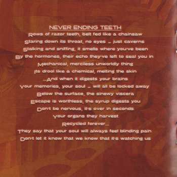 CD Afterbirth: Four Dimensional Flesh DIGI