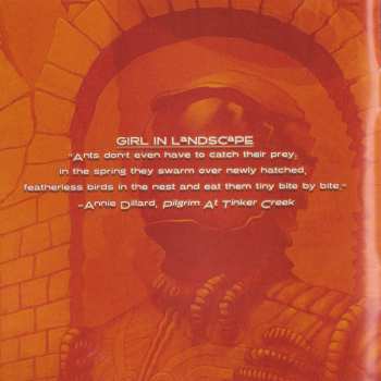 CD Afterbirth: Four Dimensional Flesh DIGI