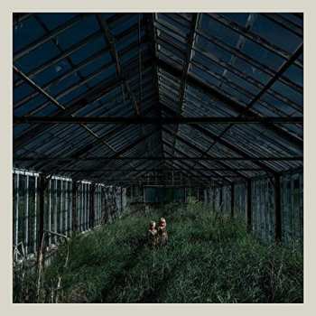 LP Foxing: Dealer CLR