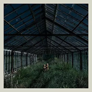 Foxing: Dealer