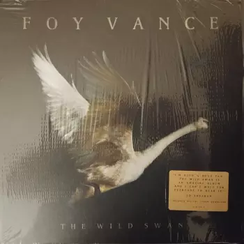 Foy Vance: The Wild Swan