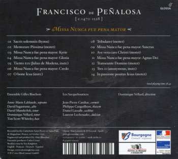 CD Ensemble Gilles Binchois: Missa Nunca Fue Pena Mayor