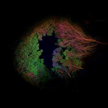 Album Francisco Lopez: Hidden Island Music