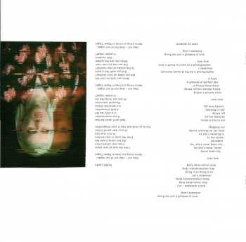 LP Franz Ferdinand: Always Ascending DLX | LTD | CLR