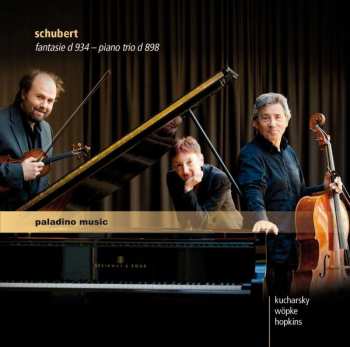 Album Franz Schubert: Fantasie D 934 - Piano Trio D 898