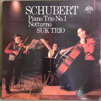 Piano Trio No. 1 / Notturno
